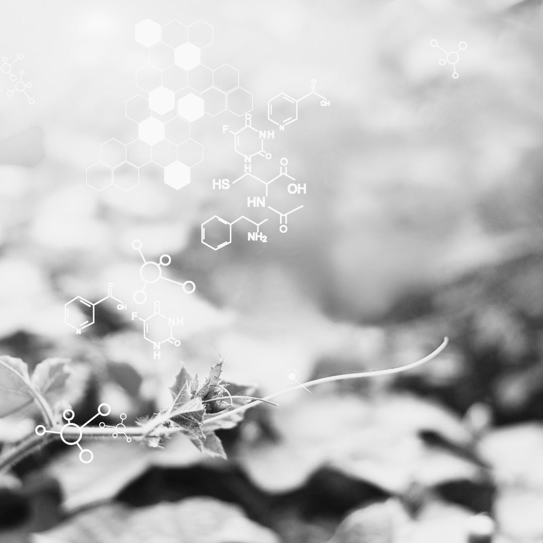 Virtual Mesotherapy Serums – Non-Invasive Skin & Body Treatments